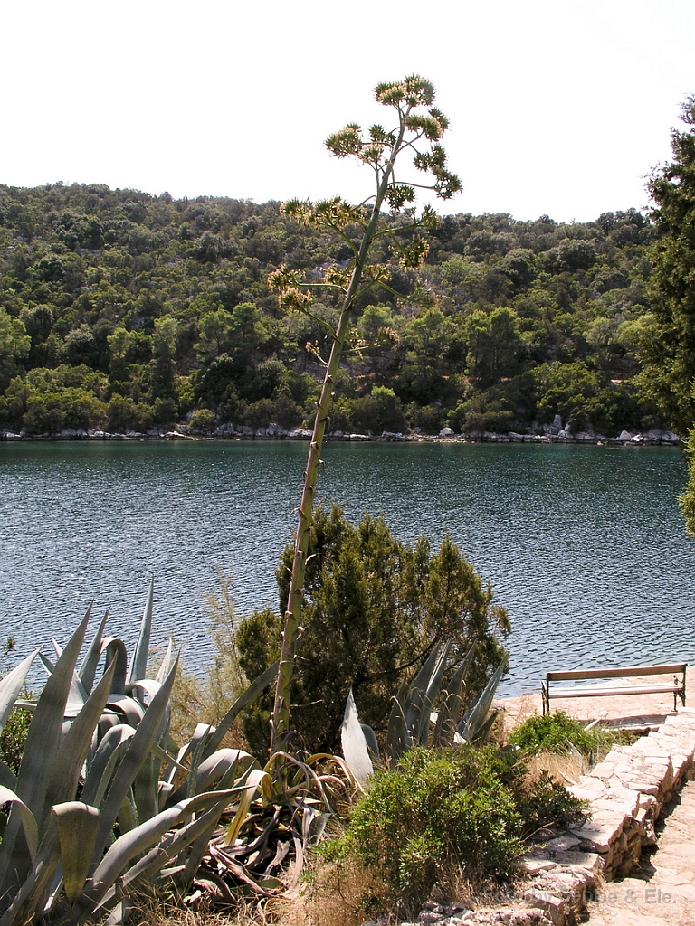 036 Mljet