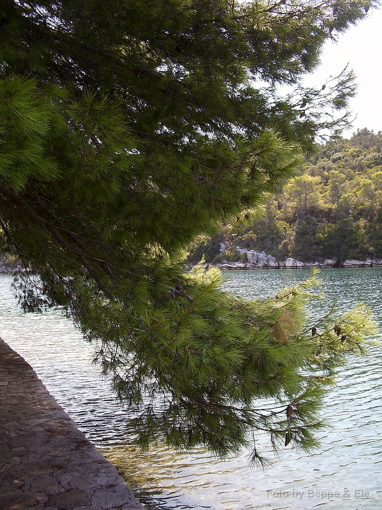 040 Mljet