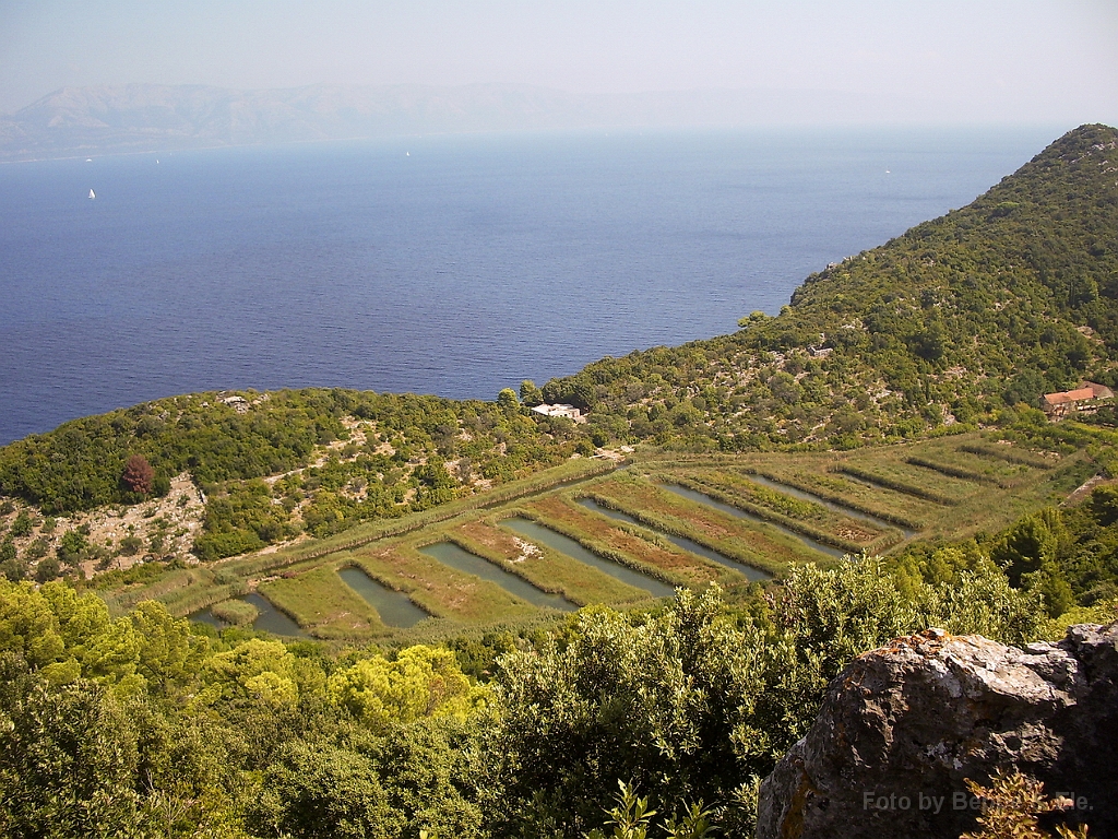 071 Mljet