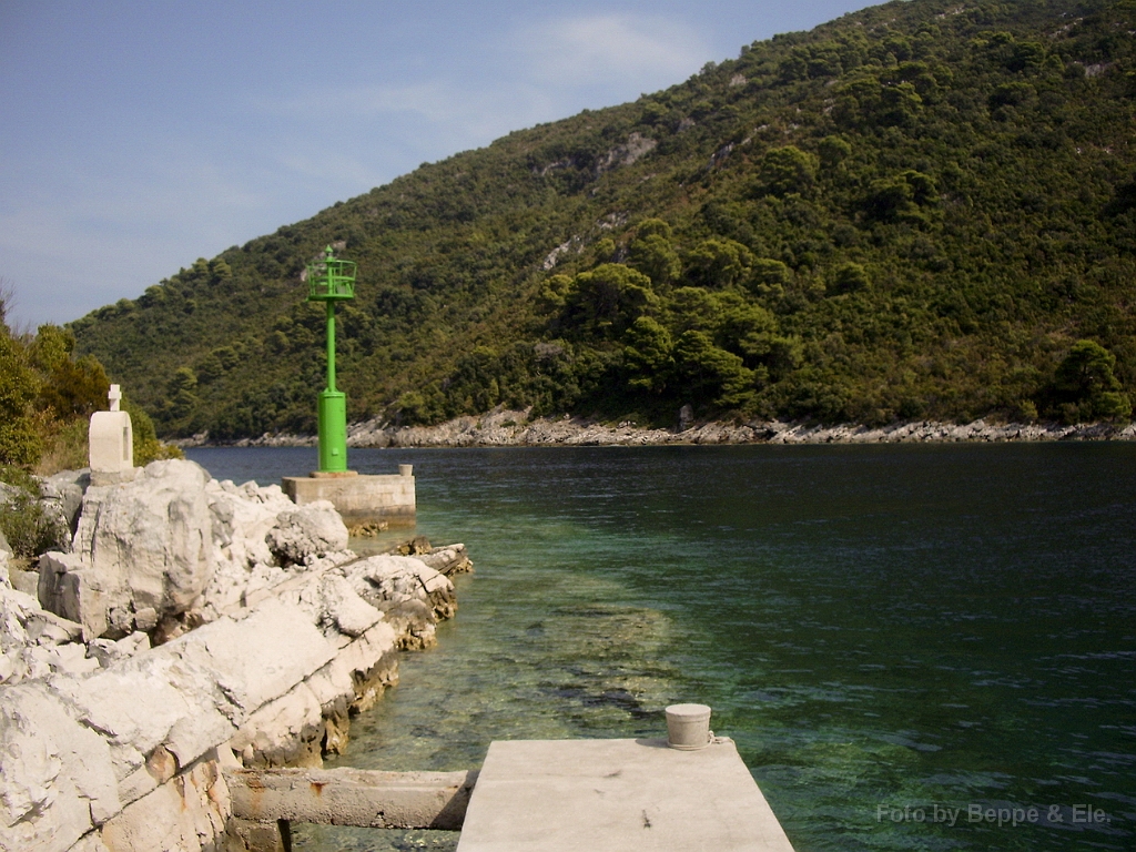 100 Mljet