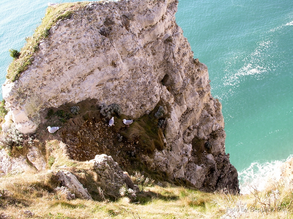 1545 Etretat