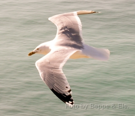 1559 Etretat