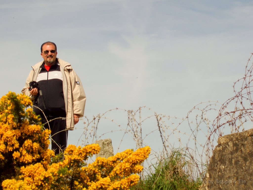 2011 La pointe du Hoc