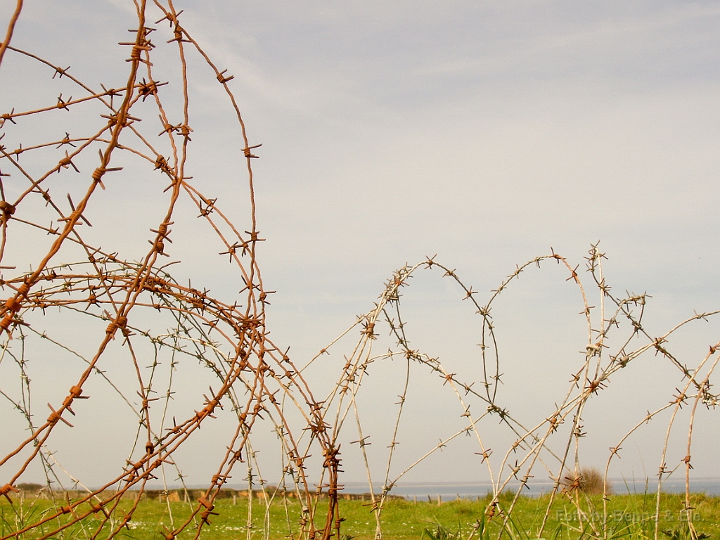 2014 La pointe du Hoc