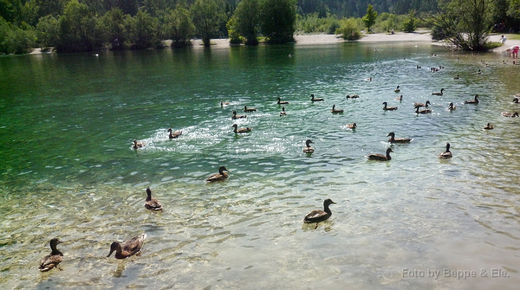 090 Kraninska Gora (Lago Jasna)