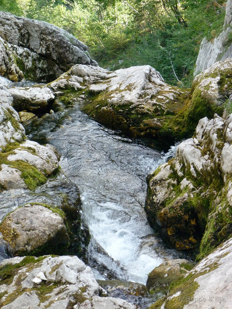 142 Sorgenti dell fiume Isonzo