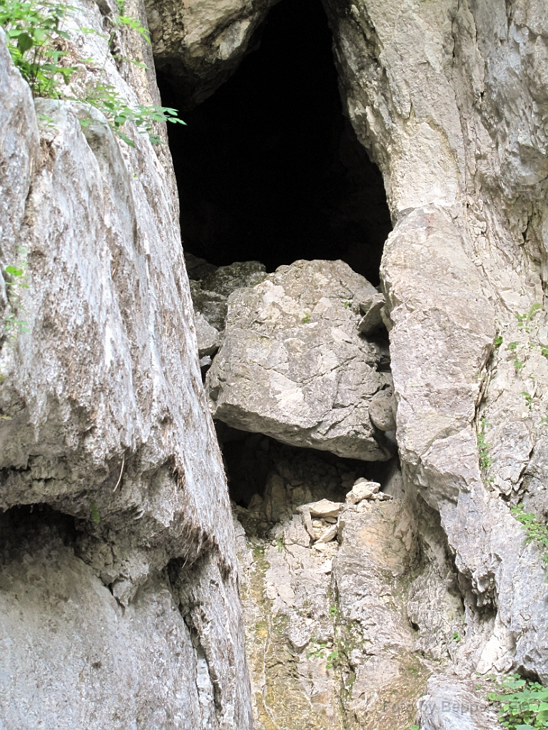 145 Sorgenti dell fiume Isonzo